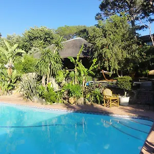 Birdsnest Guest Hout Bay
